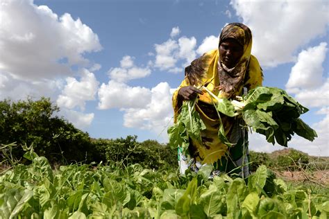 Figure Of The Week Closing The Gender Gap To Reduce Food Insecurity In