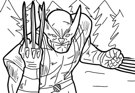 Dibujos De Wolverine Para Colorear