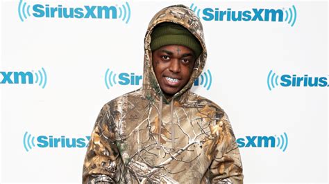 Kodak Black Accused Of Having Sex At Nhl Hockey Game