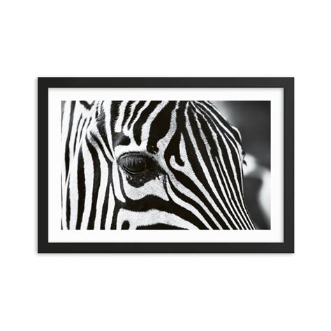 Close Up In Black And White Framed Art Print • Pacific Lotus Corps