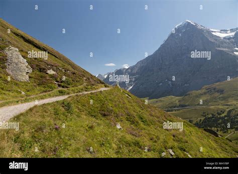 Trail In Jungfrau Region Of The Swiss Alps Stock Photo Alamy