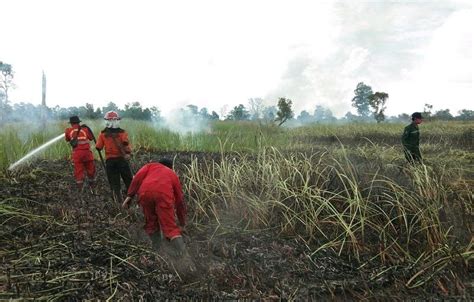 Begini Pola Mafia Dalam Merampas Tanah Milik Warga