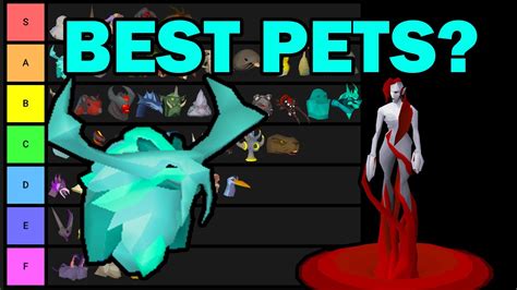 Pet Hunter Tier List Bosses Skilling Etc Osrs Youtube