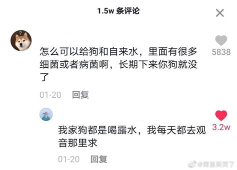 搞笑评论 堆糖，美图壁纸兴趣社区