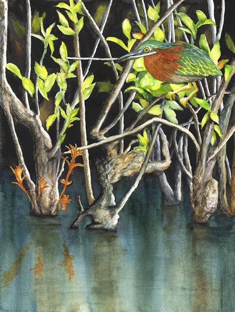 Heron Habitat | Artists for Conservation