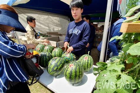 포토뉴스 다양한 수박 우리가 만들어요 ‘제1회 대한민국 수박축제 And 제26회 함안수박축제 뉴스테이지