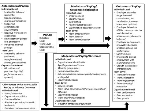 Figure 1 From Psychological Capital A Review And Synthesis Semantic