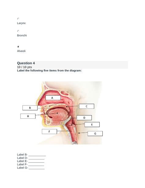 SOLUTION Biod 151 Module 2 Exam 2022 Graded A Biod 151 Anatomy And