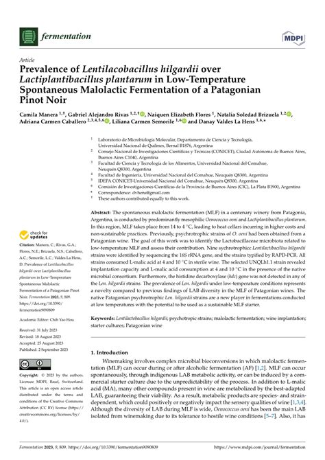 PDF Prevalence Of Lentilacobacillus Hilgardii Over