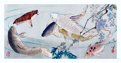 Vintage Koi Carp Fish Free Stock Photo Public Domain Pictures