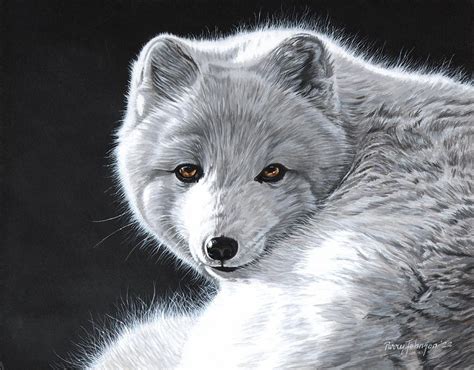 Arctic Fox Painting By Parry Johnson Fine Art America