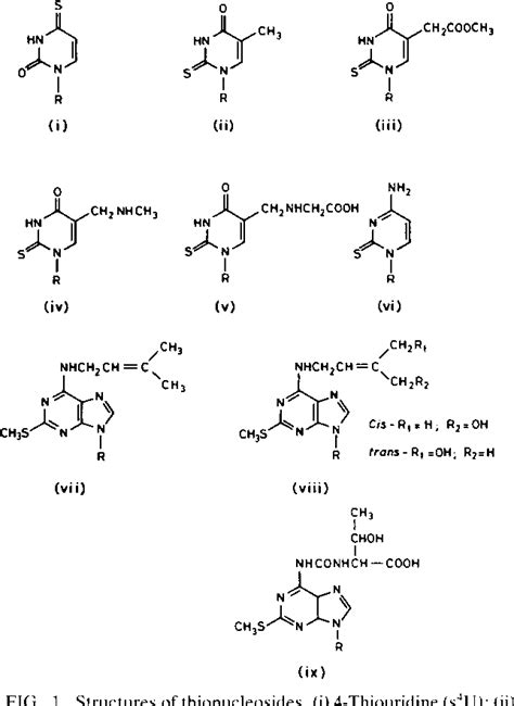 Thionucleosides Semantic Scholar