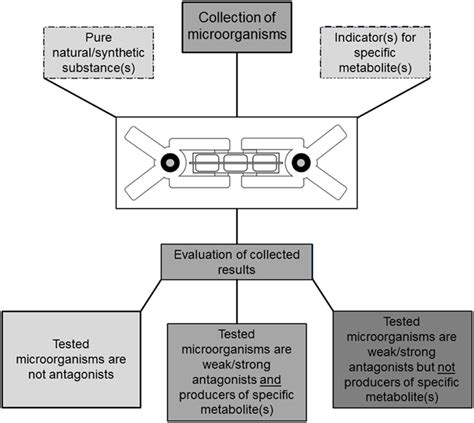 Frontiers A Novel Assay For The Detection Of Bioactive Volatiles