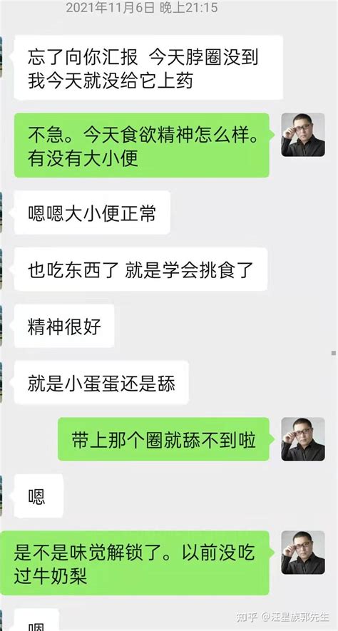 柴犬严重皮肤病 历时三个月治疗康复过程 知乎