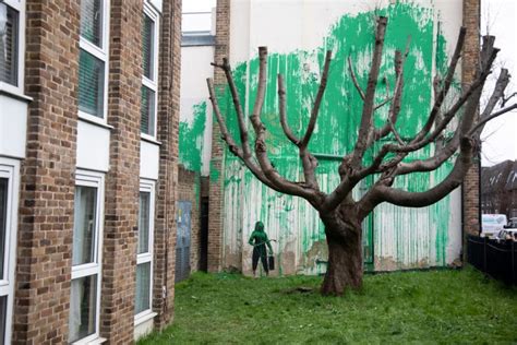 Il Nuovo Murale Di Banksy Una Chioma Verde Per Un Albero Spoglio