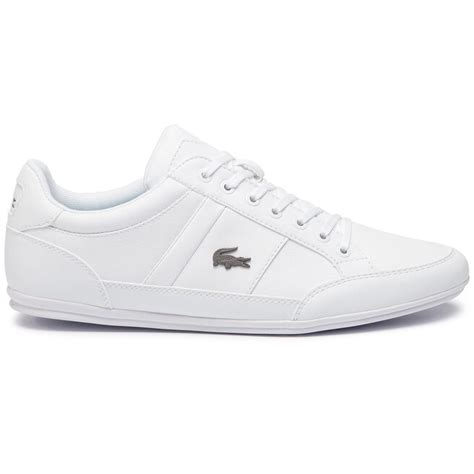 Sneakers Lacoste Chaymon Bl Cma Cma G Wht Wht Eschuhe De