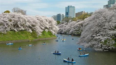 THE 15 BEST Things to Do in Chiyoda (2025) - Must-See Attractions