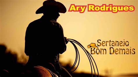 Ary Rodrigues S Sertanejo Sertanejo Bom Demais Sertanejo Too Good