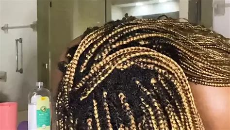 Pumkin Porn Videos XHamster