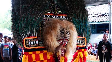 Hebat Lur Reog Ponorogo Solah Jos Pembarong Hebat Barongan Reog Big