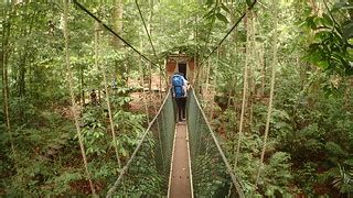 Taman Negara Kuala Tahan Pahang Malaysia Mohd Fazlin Mohd