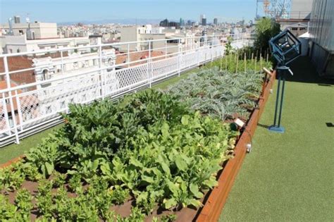 Huertos En Azoteas Tipos De Huertos Urbanos Sobre Edificios En