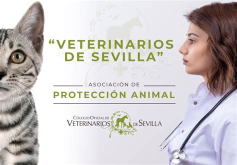 Consejo Andaluz De Colegios Oficiales De Veterinarios Consejo Andaluz De Colegios Oficiales De