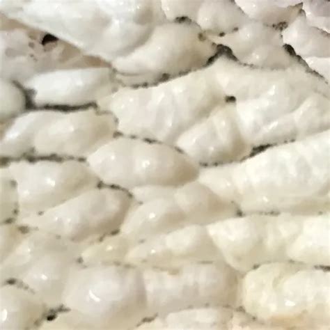 Continu Je Viens Shemale Masturbation Masturbation Porn XHamster