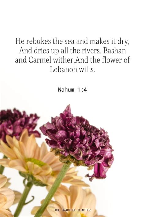 33 Bible Verses About Flowers The Graceful Chapter