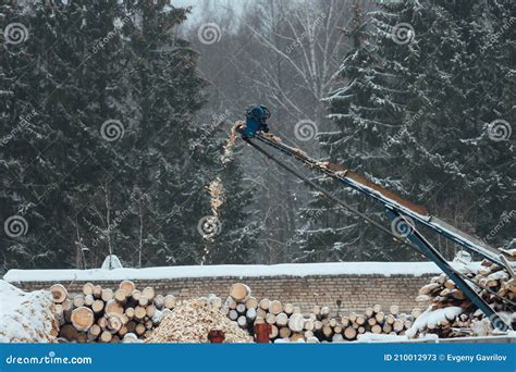 Sawdust On The Conveyor At The Sawmill Stock Image Image Of