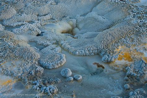 Hot Springs And Microorganisms Of Yellowston Kaye M Debona Photography