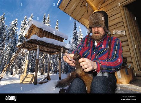 Trapper Huette Fotos Und Bildmaterial In Hoher Auflösung Alamy