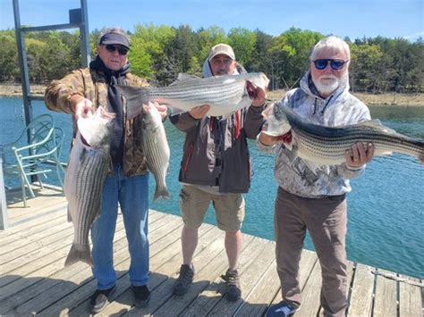 Beaver Lake Striped Bass Fishing Report Guided Striper