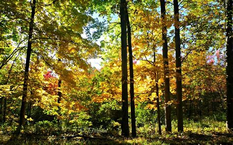 A peek at Fall foliage in the Hudson Valley