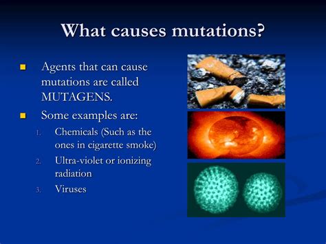 PPT - Gene Mutations PowerPoint Presentation, free download - ID:5334616