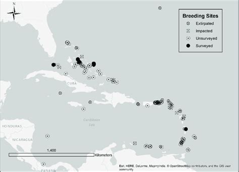 Audubon's Shearwater colonies in the Caribbean region. Extirpated and ...