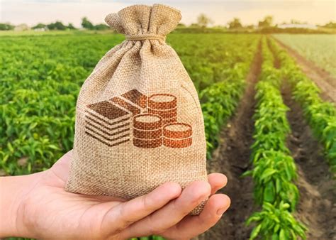 Farm Bill 2020 What Is Farm Bill Know The Pros Cons Of Farm Bill