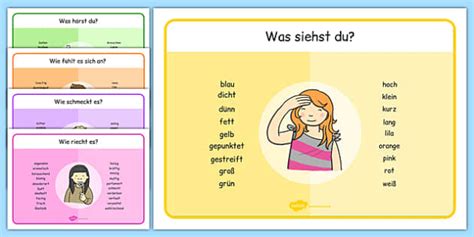 Senses Word Mat German Teacher Made Twinkl