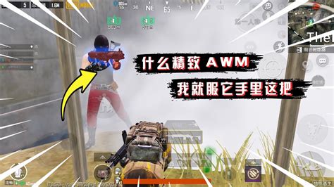 蓝一逃生：什么精致魅控，精致awm，都不如它手里的这把厉害 Youtube