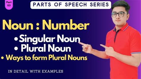 Noun Number Singular Noun Plural Noun How To Form Plural Nouns