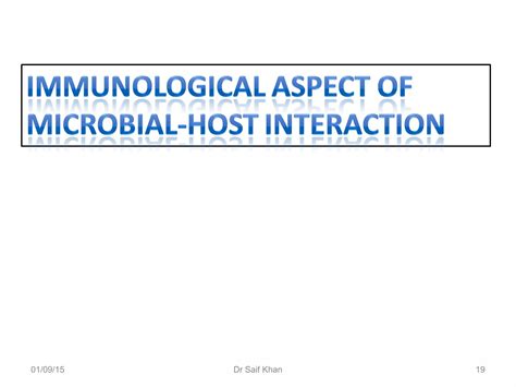 Host Microbe Interaction In Periodontal Disease Ppt