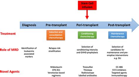 Frontiers Optimizing Transplant Approaches And Post Transplant