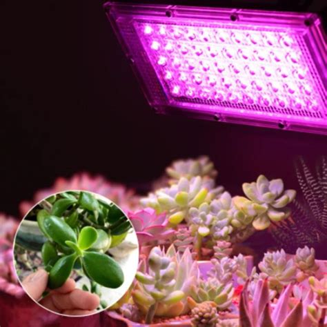 Xunjie Effective Indoor Outdoor V Led For Greenhouse Hydroponic