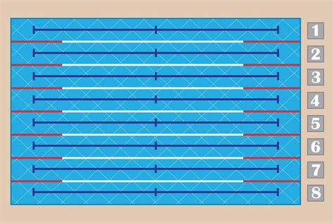 Sport Swimming Pool Top View Eight Track Swimming Pool 6793264 Vector