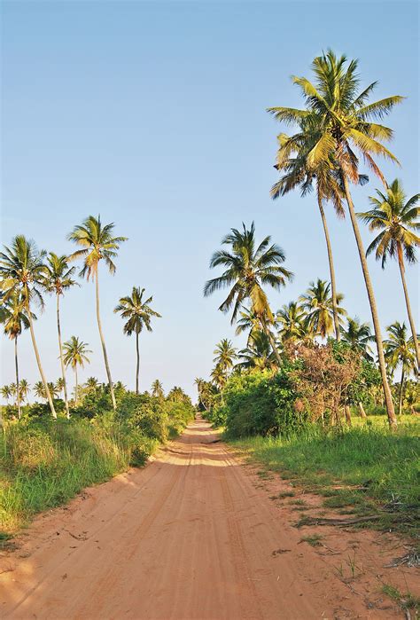 Reunion - Travel Guide - Tripmasters Travel