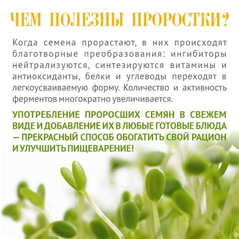 Зеленая гречка алтайская 5 кг