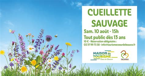 BALADE NATURE Cueillette Sauvage CC Coeur De Beauce