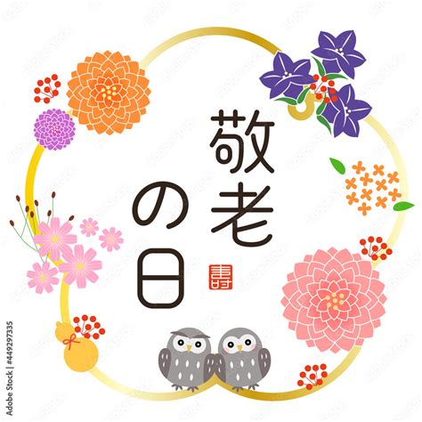 stock adobe stock