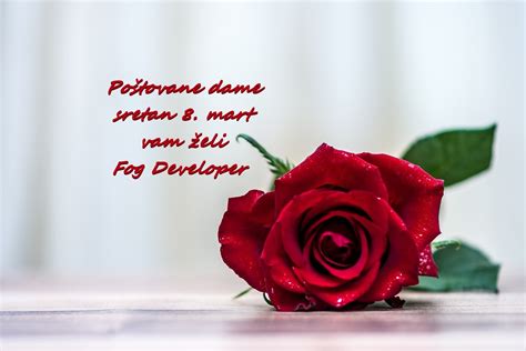 srecan  mart fog developer