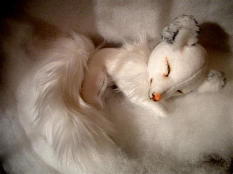 Sleeping Baby Arctic Fox by WhittyKitty on DeviantArt